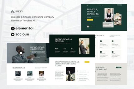 Bizzy - Business & Finance Consulting Company Elementor Template Kit