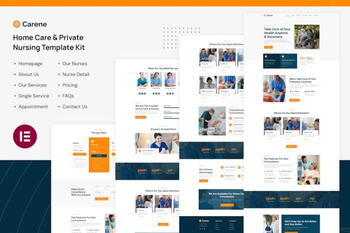 Carene - Home Care & Private Nursing Services Elementor Pro Template Kit