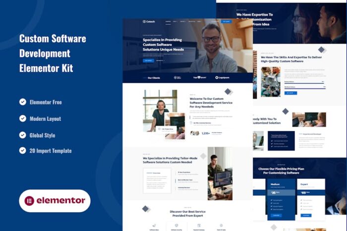 Cetech - Custom Software Development Services Elementor Template Kit