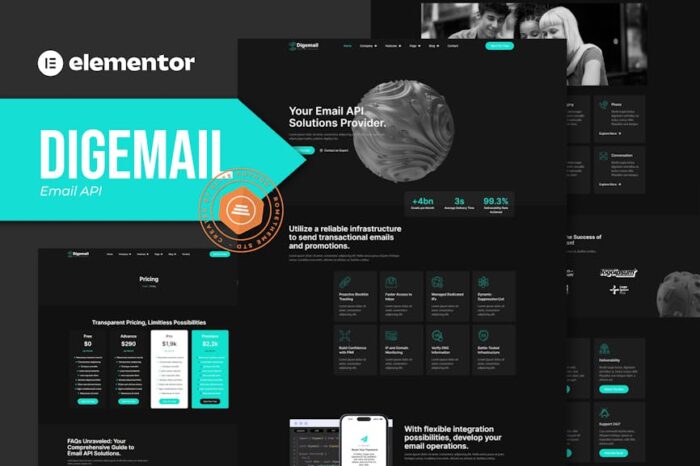 Digemail - API Solutions & Services Elementor Pro Template Kit