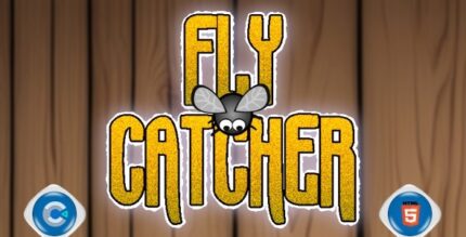 Fly Catcher