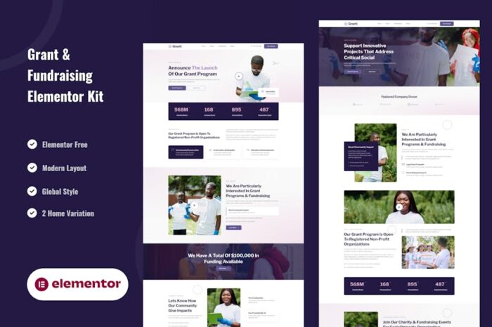 Grant & Fundraising - Elementor Template Kit