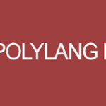POLYLANG PRO - MOST POPULAR MULTILINGUAL WORDPRESS PLUGIN V3.6.3