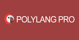 POLYLANG PRO - MOST POPULAR MULTILINGUAL WORDPRESS PLUGIN V3.6.3