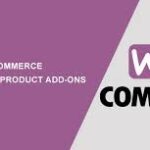 Woocommerce Gravity Forms Product Add-ons V3.6.2