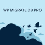 Wp Migrate Db Pro V2.6.13