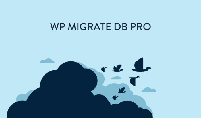 Wp Migrate Db Pro V2.6.13