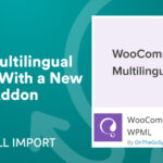 Wpml All Import Plugin Addons V2.3.0