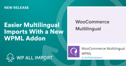 Wpml All Import Plugin Addons V2.3.0