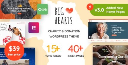 BigHearts - Charity & Donation WordPress Theme v3.0.9