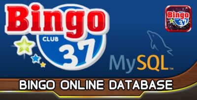 Bingo MYSQL Database HTML5