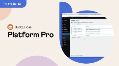 BuddyBoss Platform Pro v2.5.80