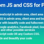 Elite Custom JS and CSS module for Perfex CRM