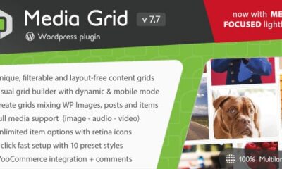 Media Grid - Wordpress Responsive Portfolio Plugin v7.7.3