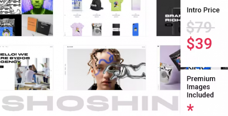 Shoshin - Digital Agency Theme Shoshin - Digital Agency Theme