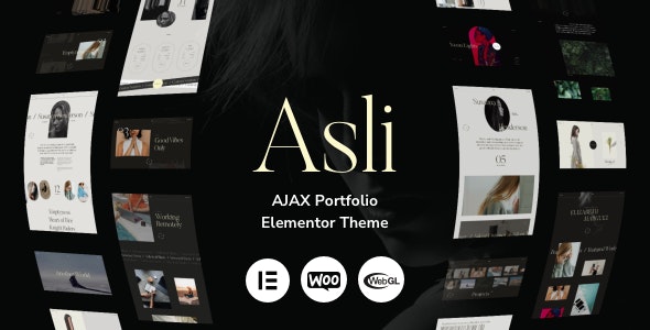 Asli - AJAX Portfolio Elementor WordPress Theme Asli - AJAX Portfolio Elementor WordPress Theme