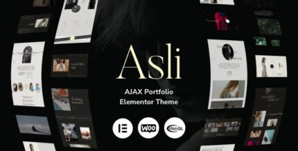 Asli – AJAX Portfolio Elementor WordPress Theme