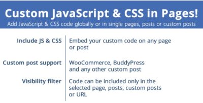 Custom JavaScript & CSS