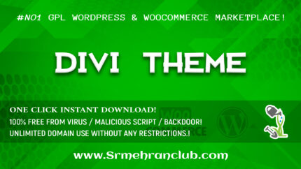 Divi WordPress Theme download