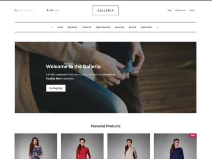 Galleria Themes for WooCommerce