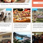 MyThemeShop SociallyViral WordPress Theme