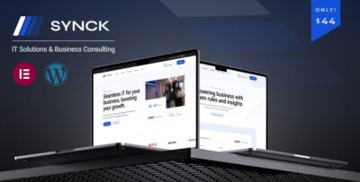 Synck Business & IT Solutions Theme