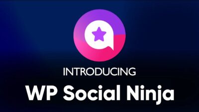 WP Social Ninja Pro - Wordpress Plugin v3.14.0