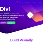 divi-wordpress-theme