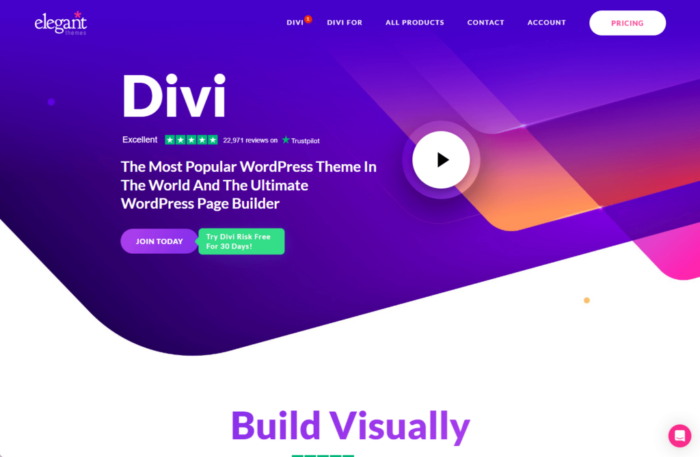 divi-wordpress-theme