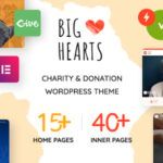 BigHearts - Charity & Donation WordPress Theme v3.0.10