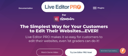 Blitz Live Editor PRO for Elementor