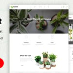 Conifer - Multipurpose Prestashop 1.7 & 8.x Responsive Theme