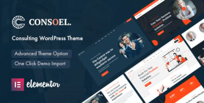 Consoel - Consulting Business WordPress Theme v1.0.2