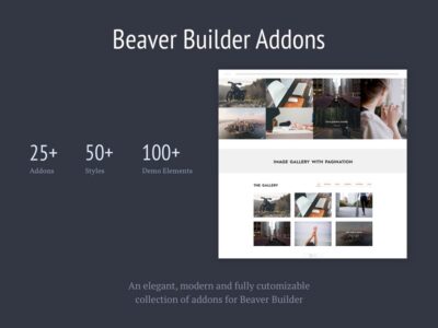 Livemesh Addons for Beaver Builder Pro