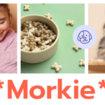 Morkie - Pet Shop and Pet Care Theme