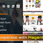 TopzStore - Advanced Responsive Magento 2 Theme