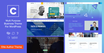 Apital - Corporate Business WordPress Theme