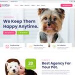 CarePress - Pet Care & Veterinary Elementor Template Kit