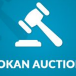 Dokan - Simple Auctions Integration
