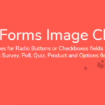 Jetsloth - Gravity Forms Image Choices