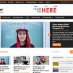 MyThemeShop NewsMag WordPress Theme
