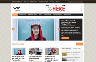 MyThemeShop NewsMag WordPress Theme