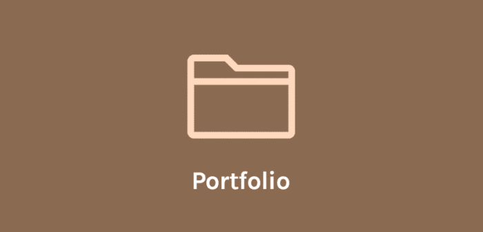 OceanWP Portfolio Addon