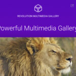 Revolution Multimedia Gallery