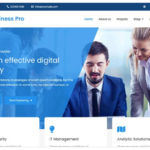 Soft Business Pro - Clean and Modern WordPress Business Theme