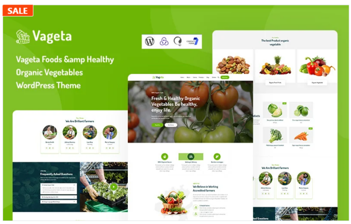 Vageta - Foods & Healthy Organic Vegetables WordPress Theme