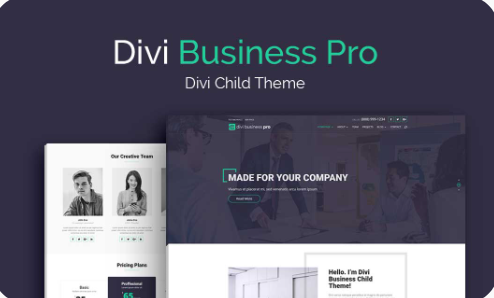 WP Zone - Divi Business Pro WP Zone - Divi Business Pro