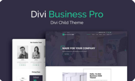 WP Zone – Divi Business Pro