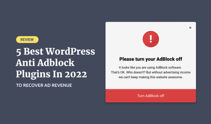 Anti AdBlock Detector for WordPress