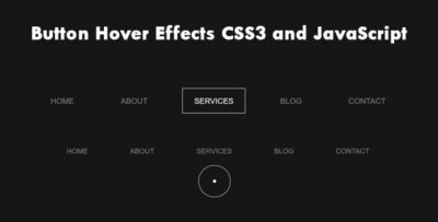 Button Hover Effects CSS3 and JavaScript